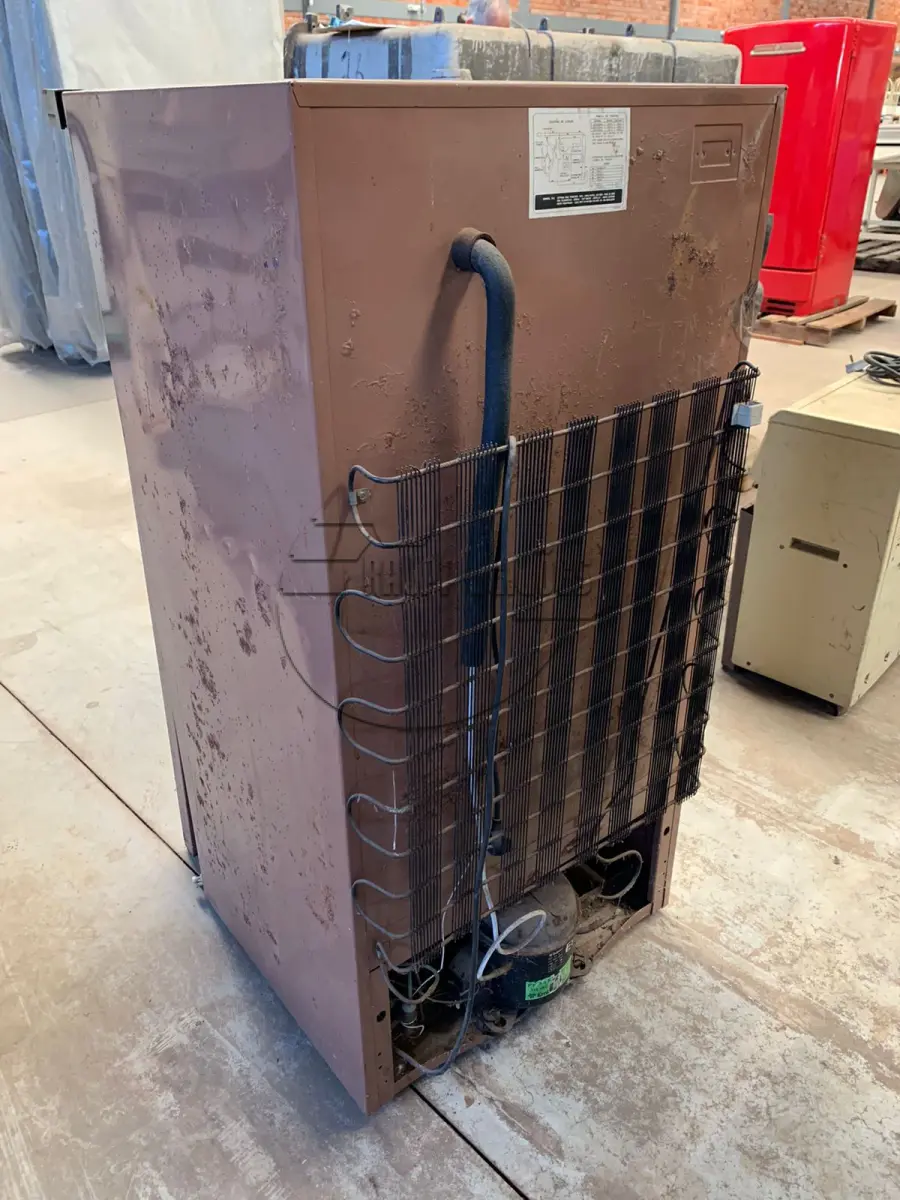LOTE 006 - Um freezer vertical