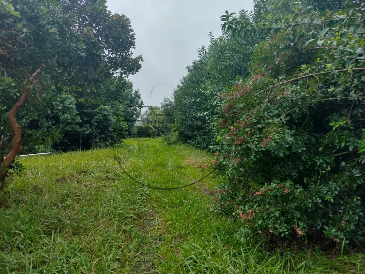 LOTE 001 - 02ª DATA | (GRAVATAÍ/RS) 02 terrenos contíguos c/ 960,00m², possuindo benfeitorias não averbadas, no Bairro Neópolis