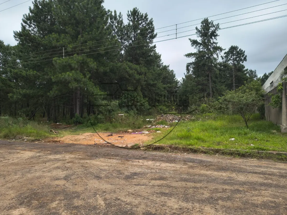 LOTE 006 - 02ª DATA | MATRÍCULA N° 49.076: Um terreno urbano, com 1.699,20 m² e sem benfeitorias, em Cachoeirinha/RS - Loteamento industrial Cruzeiro