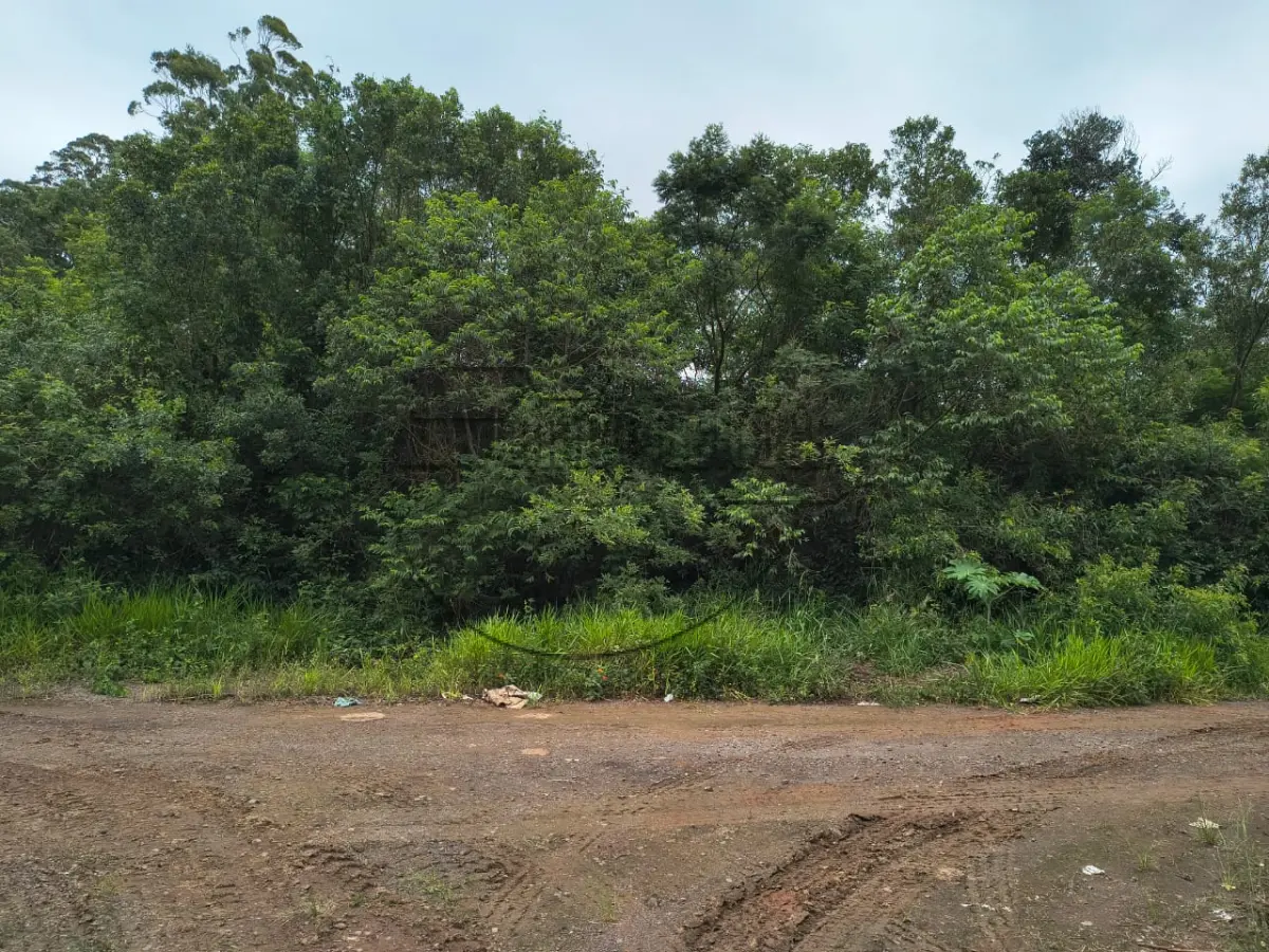 LOTE 001 - 02ª DATA | MATRÍCULA N° 49.039: Um terreno urbano, com 1.659,94 m² e sem benfeitorias, em Cachoeirinha/RS - Loteamento industrial Cruzeiro