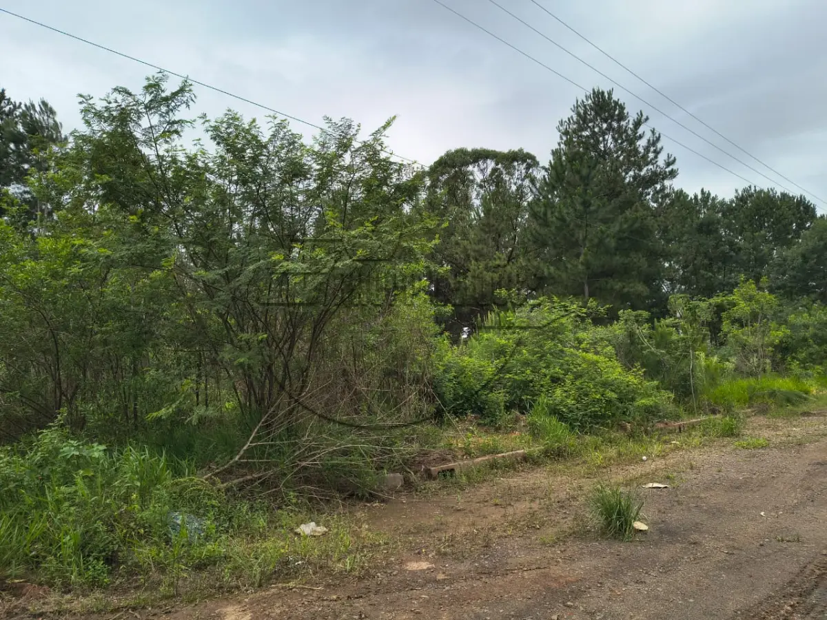 LOTE 004 - 02ª DATA| MATRÍCULA N° 49.074: Um terreno urbano, com 1.699,20 m² e sem benfeitorias, em Cachoeirinha/RS - Loteamento industrial Cruzeiro