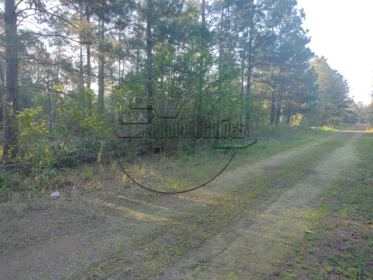 LOTE 032 - 02ª DATA | MATRÍCULA N° 49.070: Um terreno urbano, com 3.375,00 m² e sem benfeitorias, em Cachoeirinha/RS - Loteamento industrial Cruzeiro