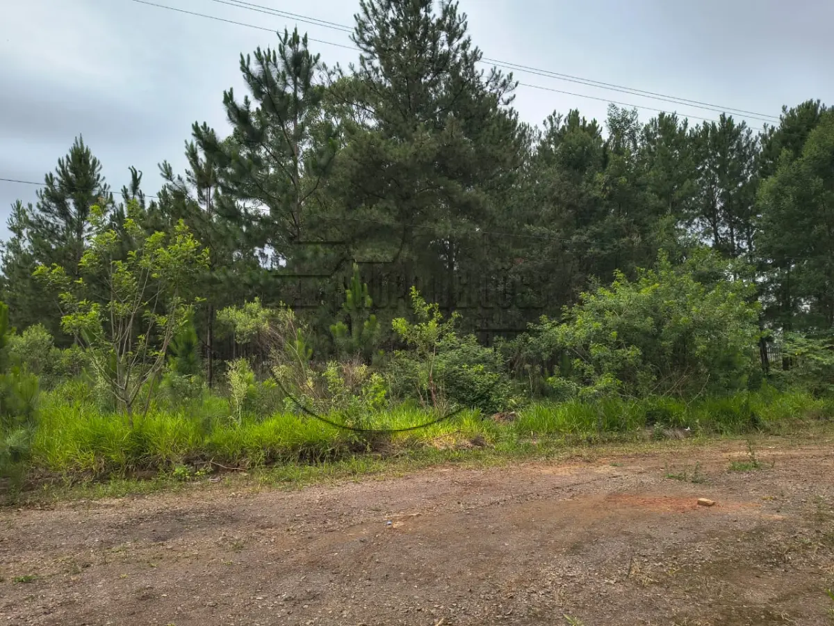LOTE 005 - 02ª DATA | MATRÍCULA N° 49.075: Um terreno urbano, com 1.699,20 m² e sem benfeitorias, em Cachoeirinha/RS - Loteamento industrial Cruzeiro