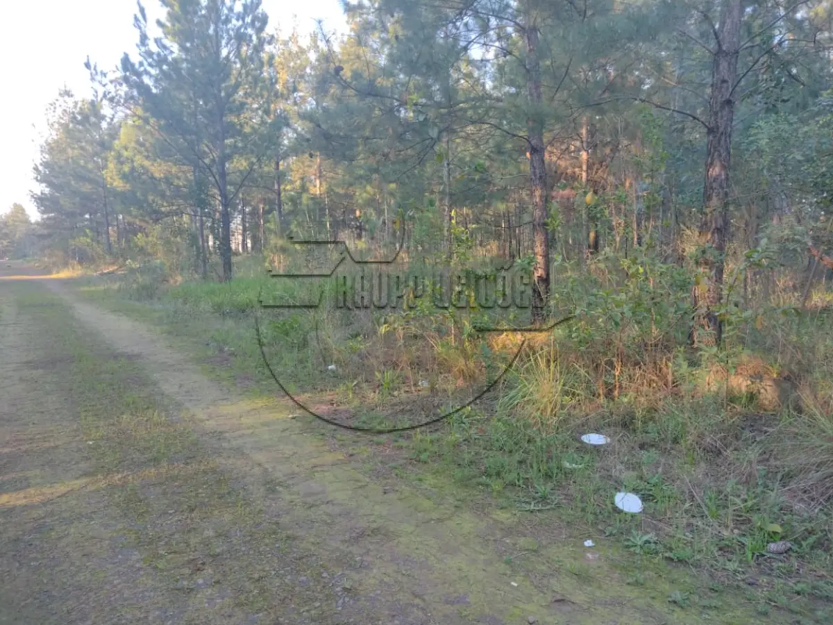 LOTE 037 - 02ª DATA | MATRÍCULA N° 49.080: Um terreno urbano, com 3.385,90 m² e sem benfeitorias, em Cachoeirinha/RS - Loteamento industrial Cruzeiro