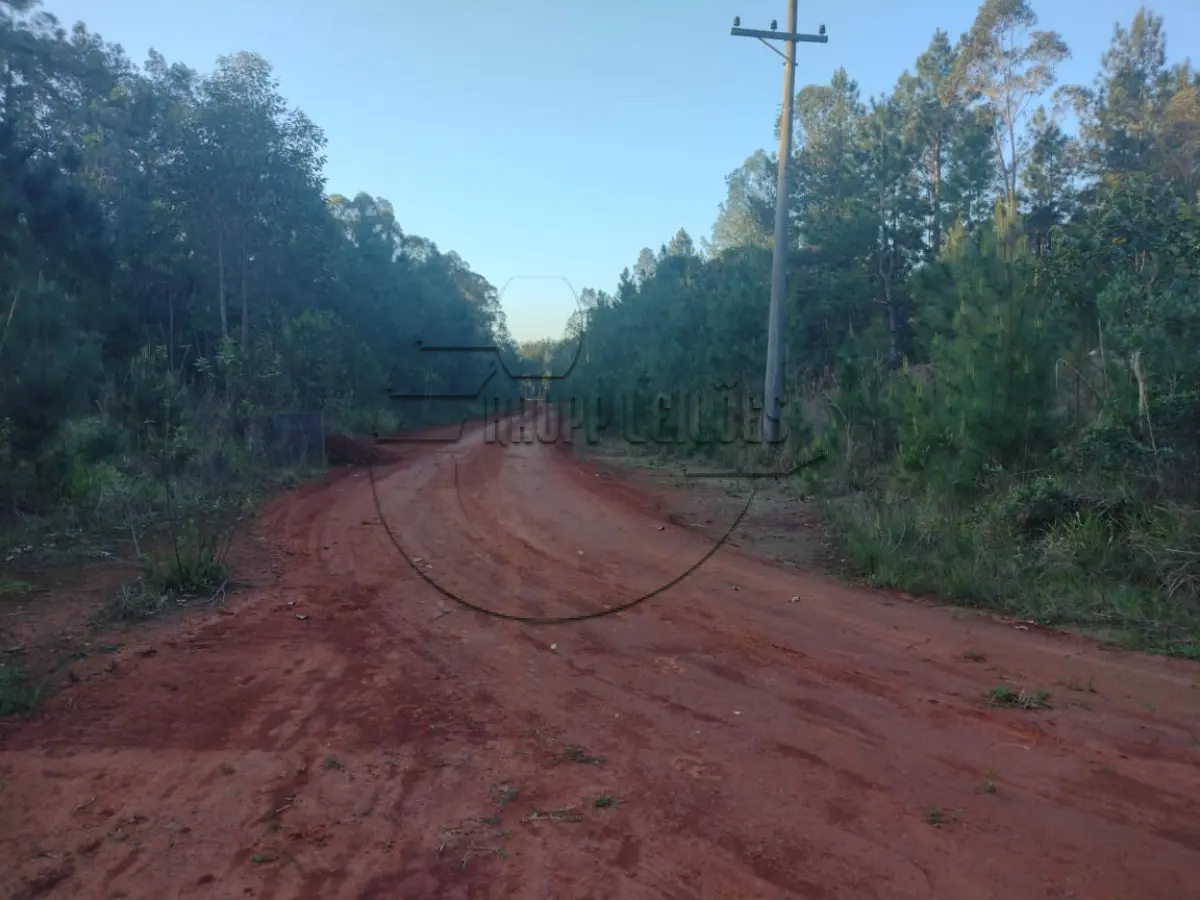 LOTE 031 - 02ª DATA | MATRÍCULA N° 49.057: Um terreno urbano, com 3.375,00 m² e sem benfeitorias, em Cachoeirinha/RS - Loteamento industrial Cruzeiro