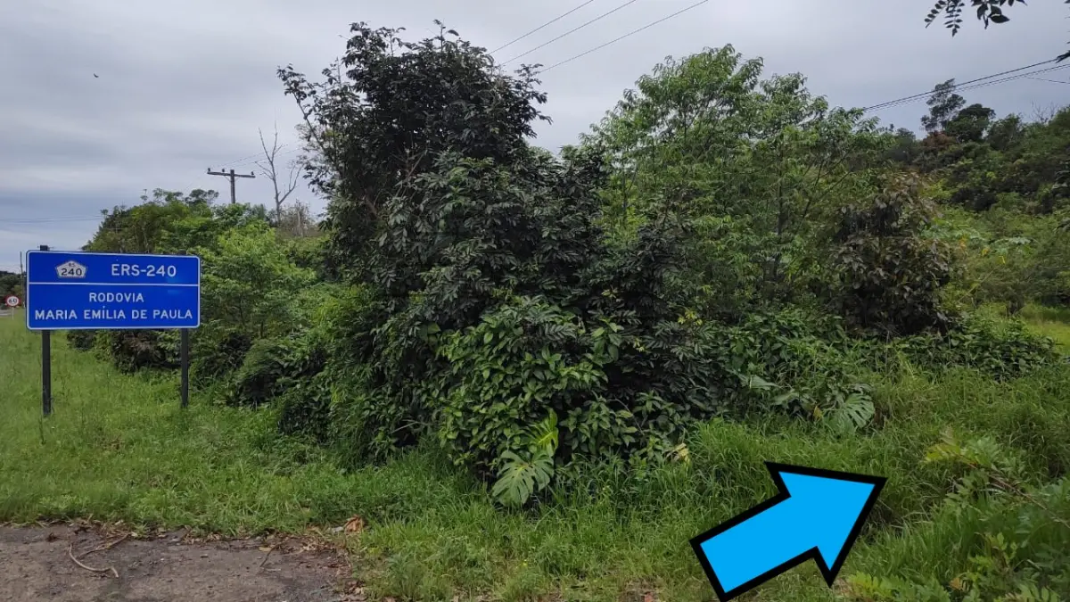 LOTE 001