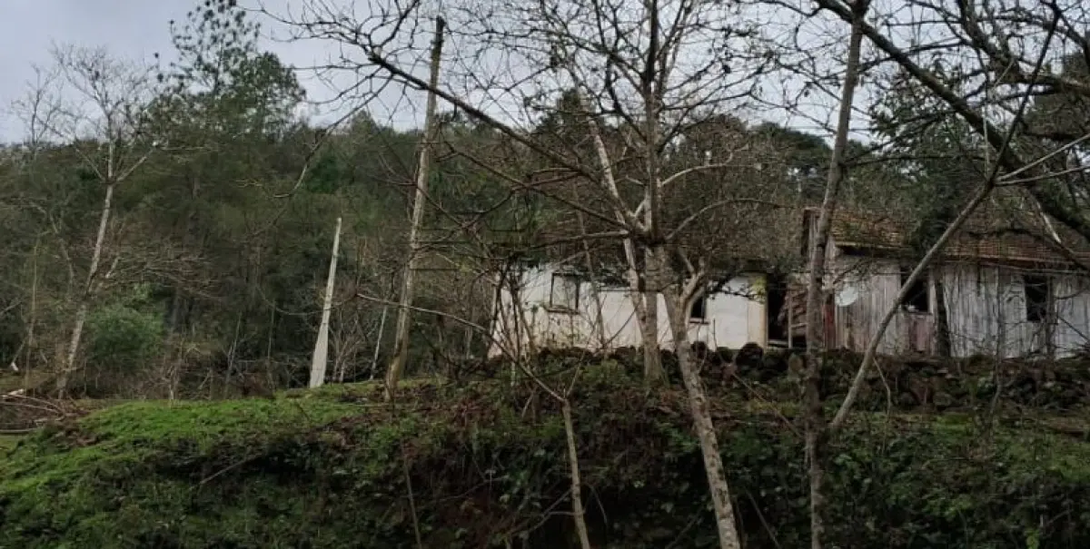 LOTE 005