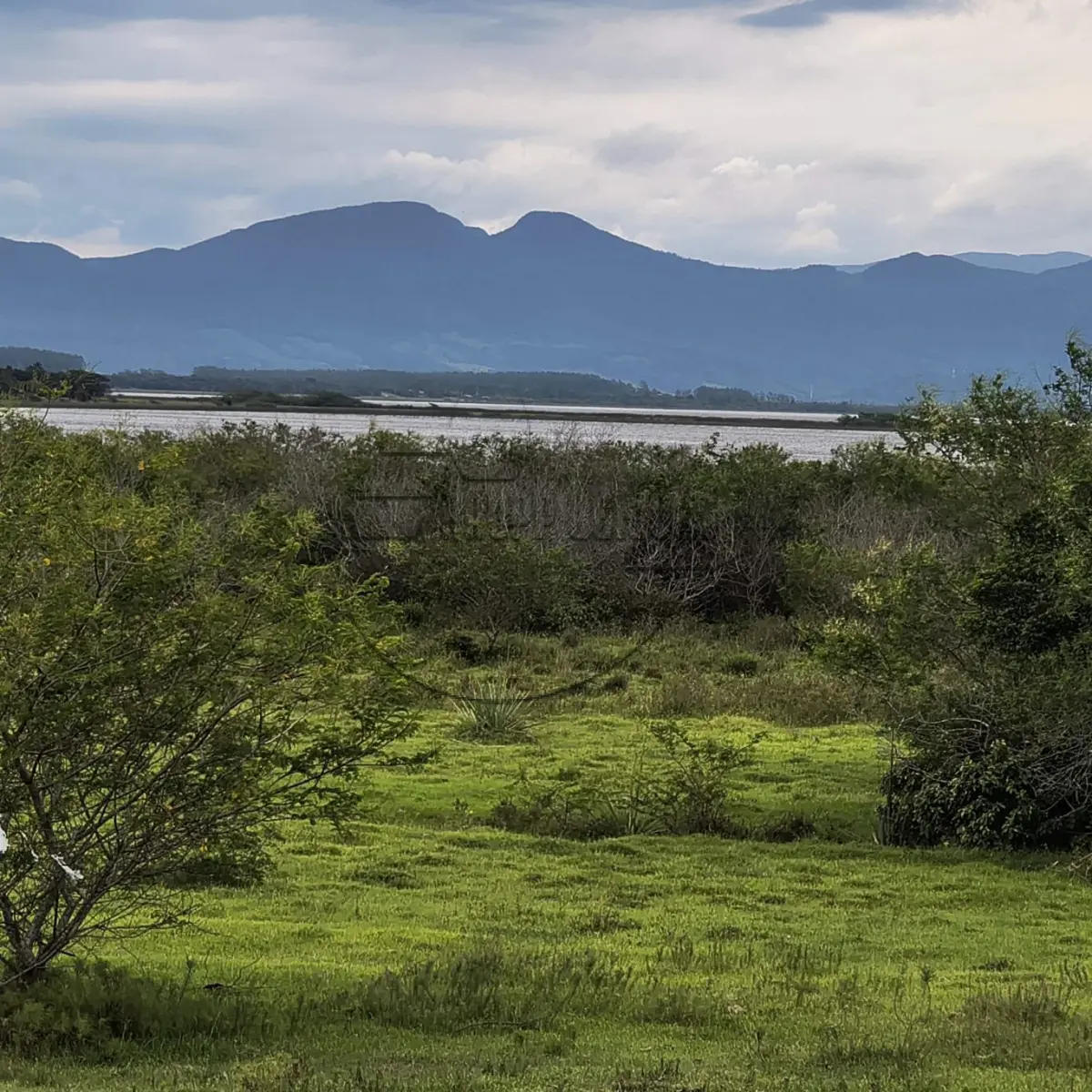 LOTE 001 - 02ª DATA | (OSÓRIO/RS) Uma área de terras de 28,409 hectares. em frente à Estrada do Mar