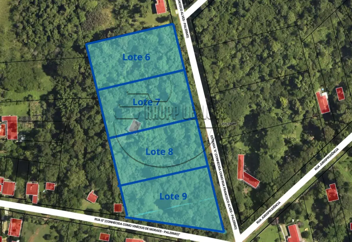 LOTE 006
