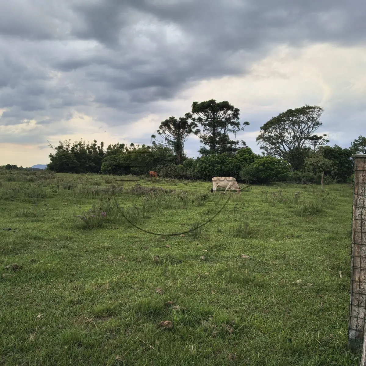 LOTE 001 - 02ª DATA | (OSÓRIO/RS) Uma área de terras de 28,409 hectares. em frente à Estrada do Mar