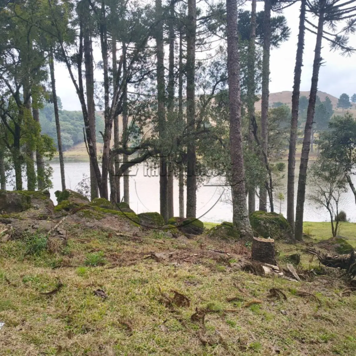 LOTE 004 - 02ª DATA | (SÃO FRANCISCO DE PAULA/RS) Uma área de terras de 2,5 hectares, c/ benfeitorias, a aprox. 10km de Canela/RS (o local tem o nome de Sítio Toquinha)
