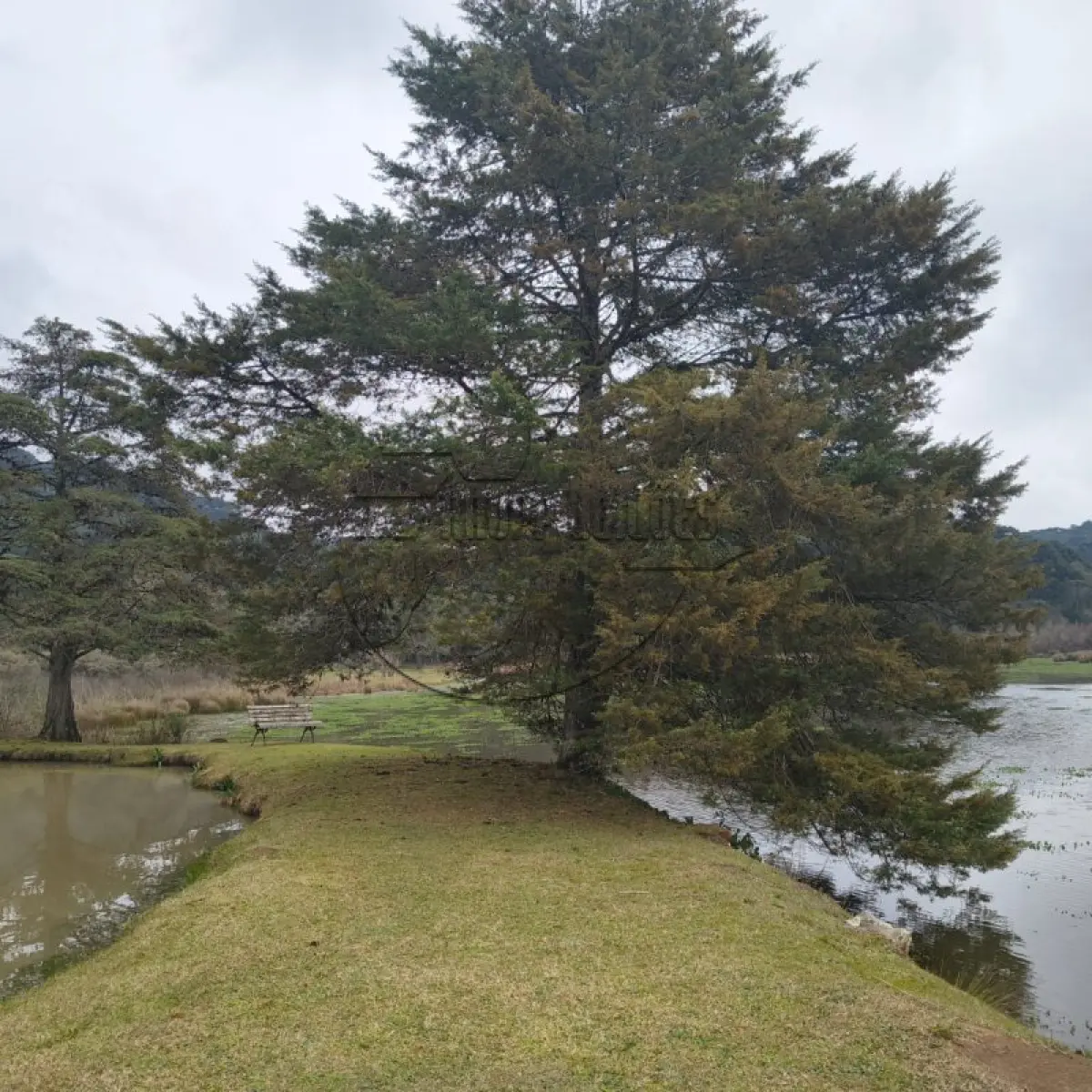 LOTE 004 - 02ª DATA | (SÃO FRANCISCO DE PAULA/RS) Uma área de terras de 2,5 hectares, c/ benfeitorias, a aprox. 10km de Canela/RS (o local tem o nome de Sítio Toquinha)