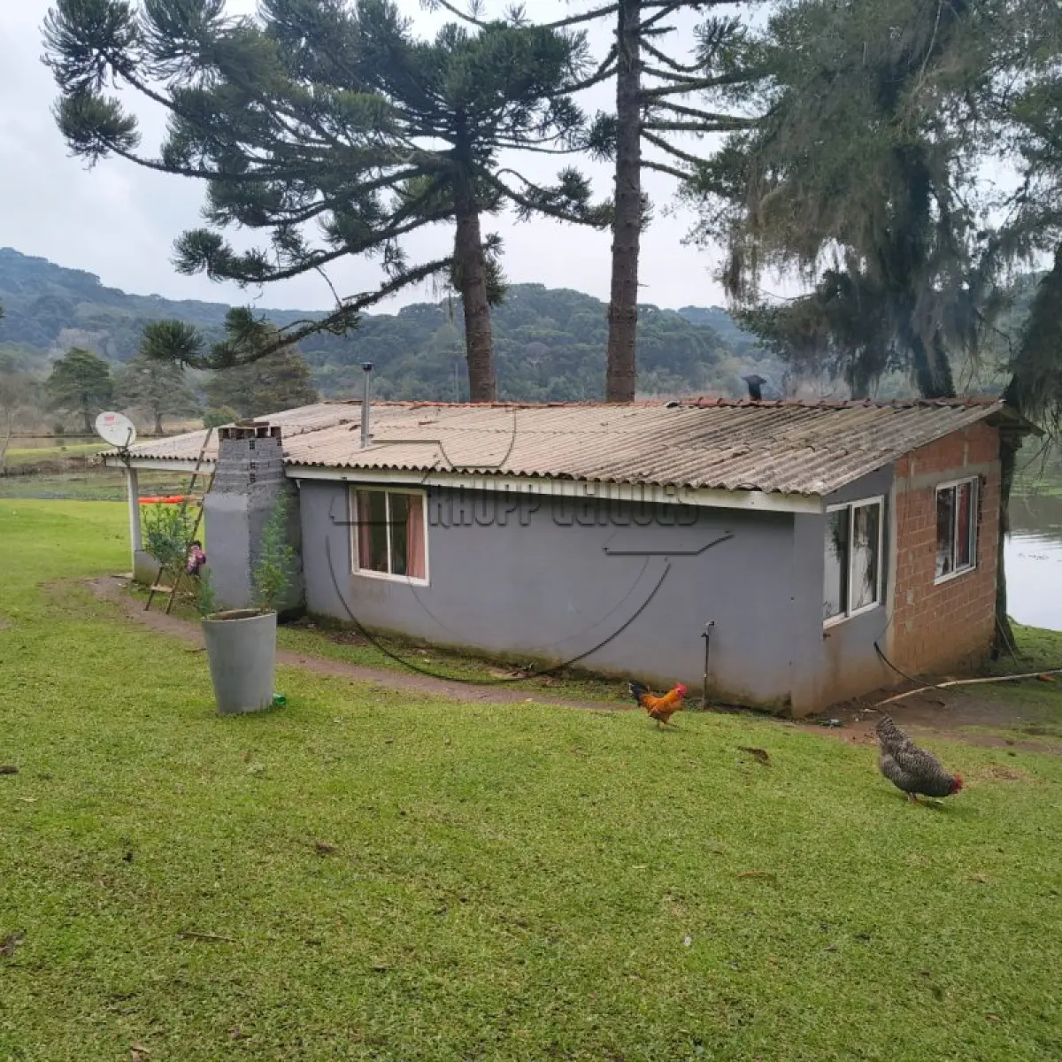 LOTE 004 - 02ª DATA | (SÃO FRANCISCO DE PAULA/RS) Uma área de terras de 2,5 hectares, c/ benfeitorias, a aprox. 10km de Canela/RS (o local tem o nome de Sítio Toquinha)
