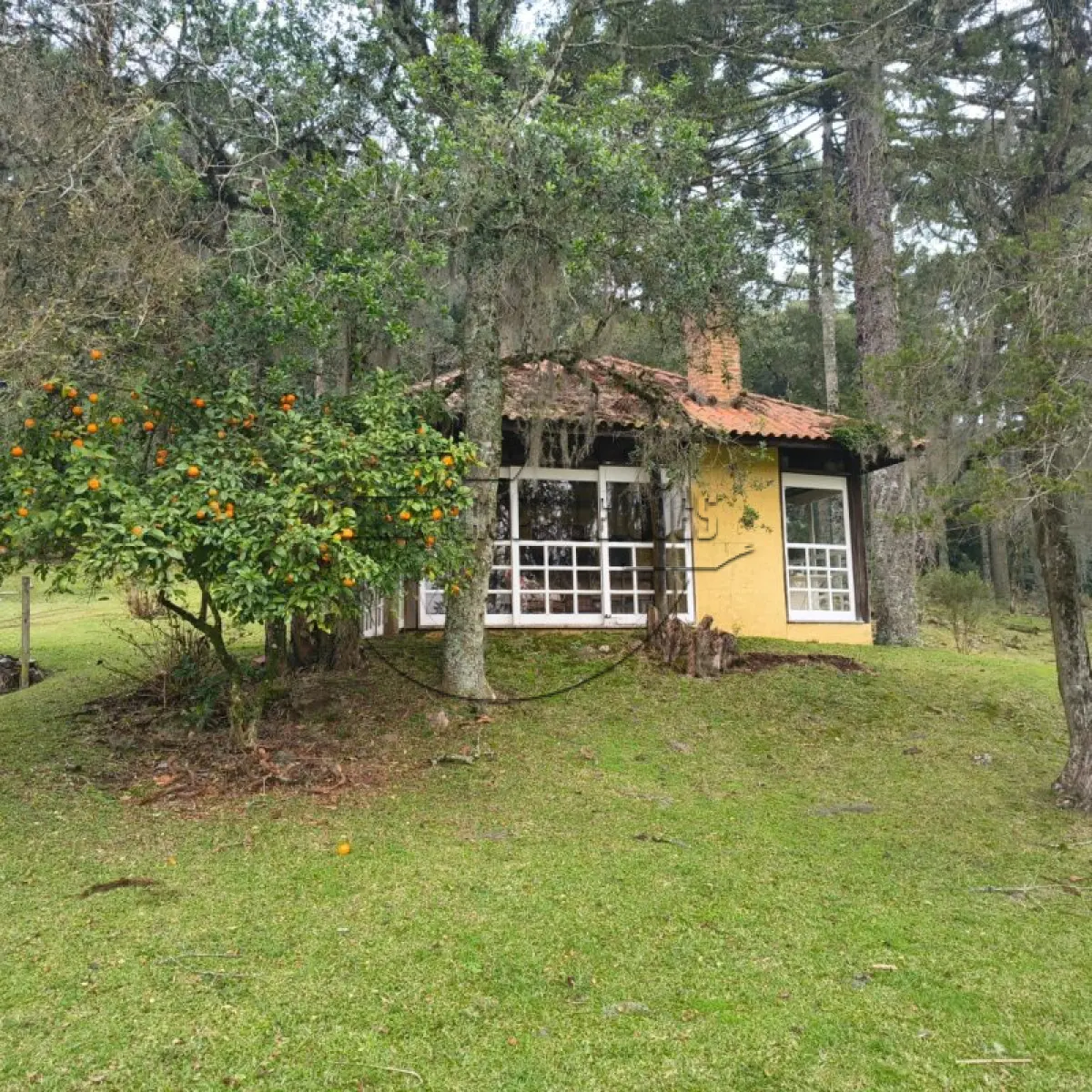 LOTE 004 - 02ª DATA | (SÃO FRANCISCO DE PAULA/RS) Uma área de terras de 2,5 hectares, c/ benfeitorias, a aprox. 10km de Canela/RS (o local tem o nome de Sítio Toquinha)