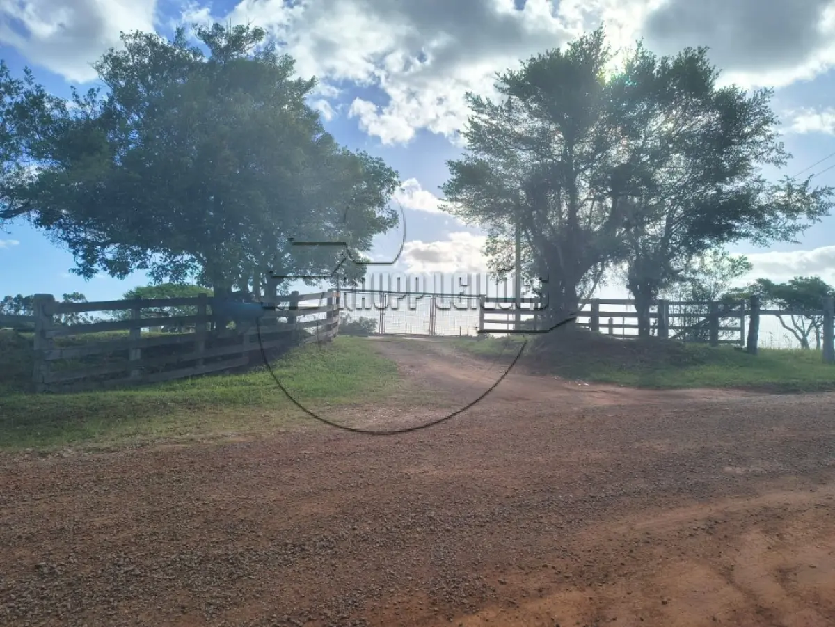LOTE 004 - 02ª DATA | (GRAVATAÍ/RS) Uma área de terras de 7ha, dentro de um todo maior, no Bairro Barro Vermelho