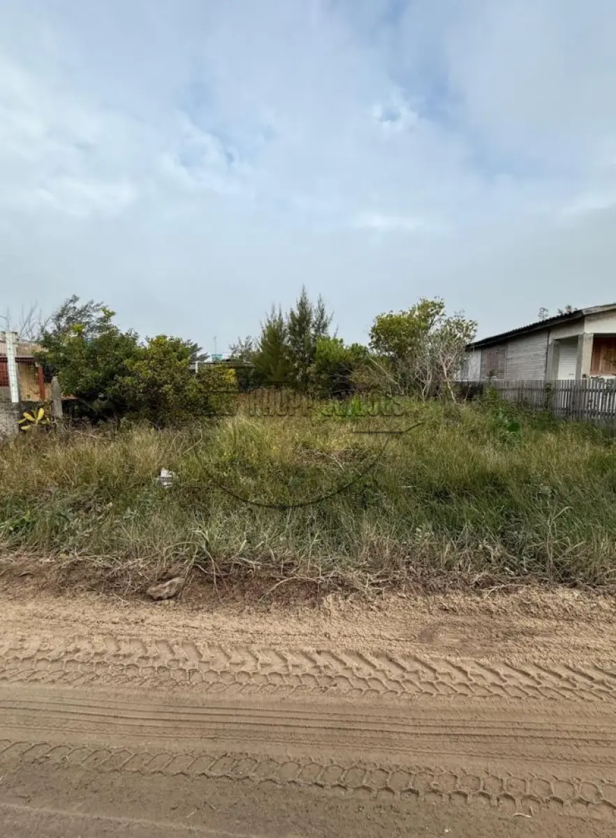 LOTE 013