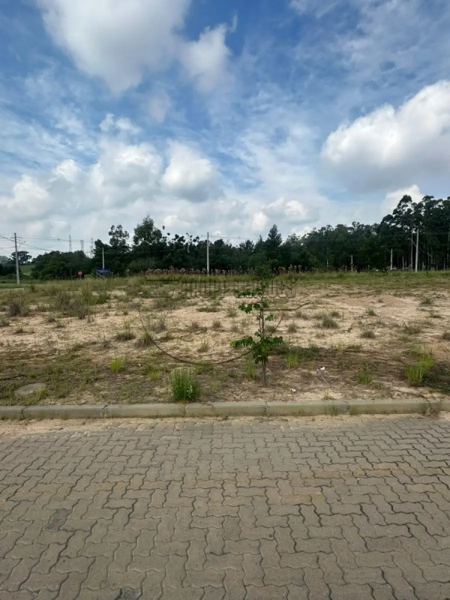 LOTE 001