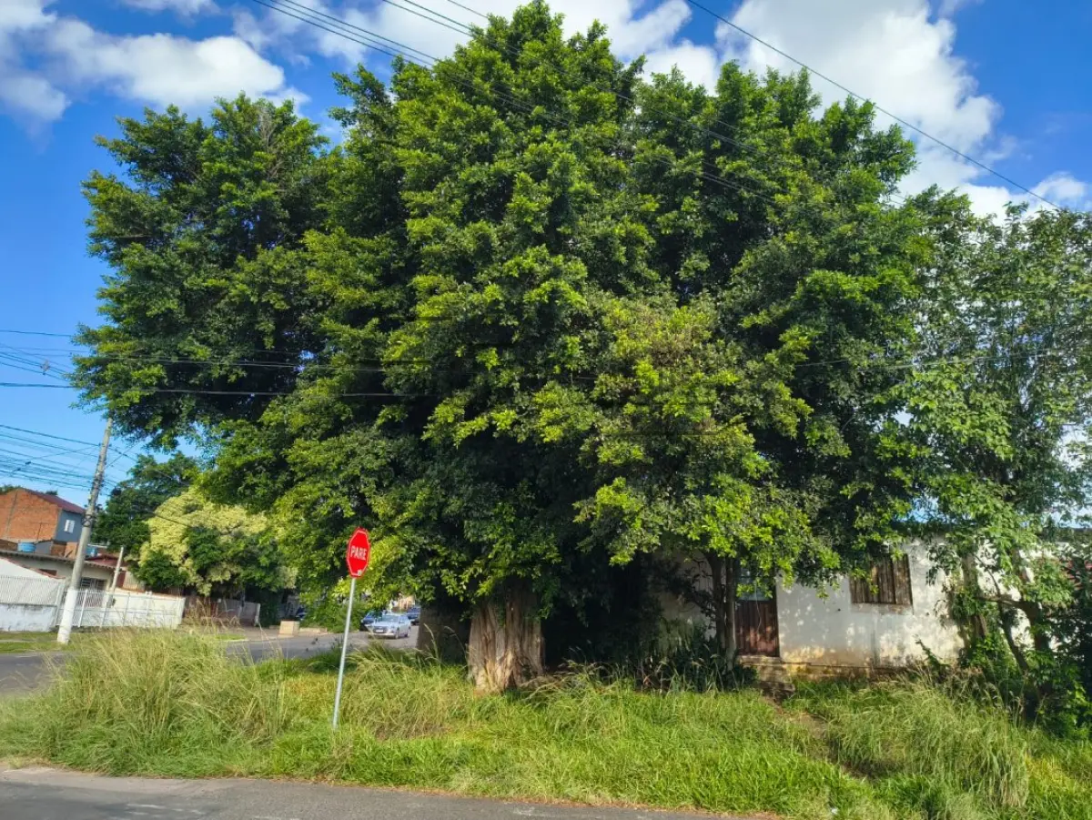 LOTE 002 - 02ª DATA | (GRAVATAÍ/RS) Um terreno de 243,00m², de esquina, c/ benfeitorias, no Bairro Morada do Vale II