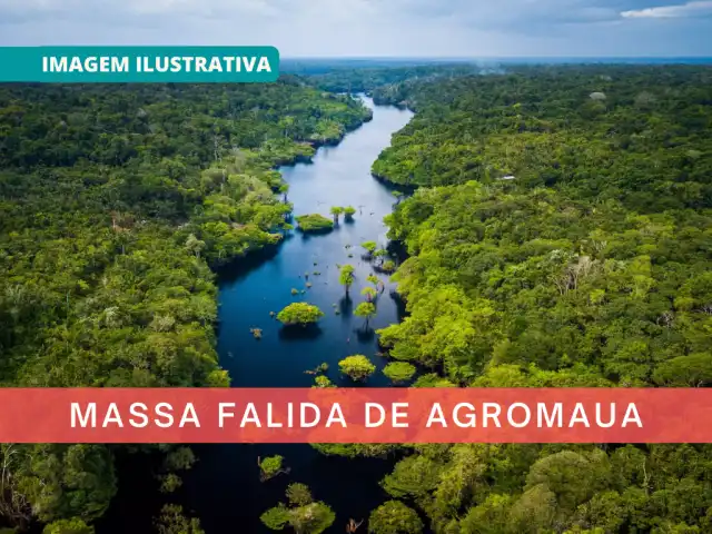 LEILÃO JUDICIAL - 15 MIL HECTARES DE TERRAS EM RIO PRETO DA EVA - AMAZONAS