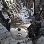 Foto 6