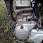 Foto 5