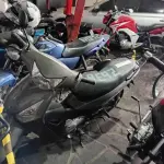Foto 5