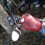 Foto 6