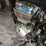 Foto 5