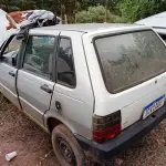 Foto 12
