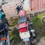Foto 8