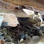 Foto 15