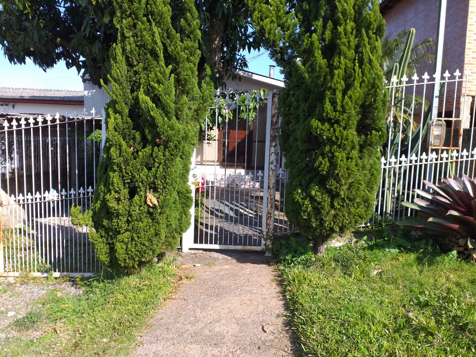 Foto 1