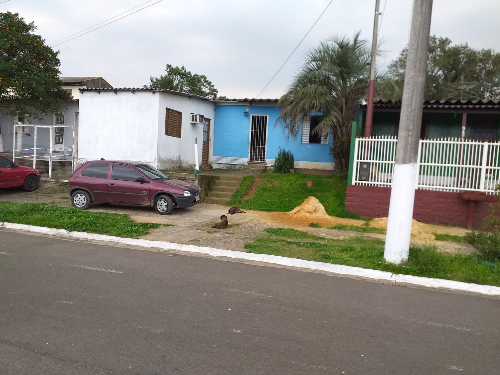 Foto 4