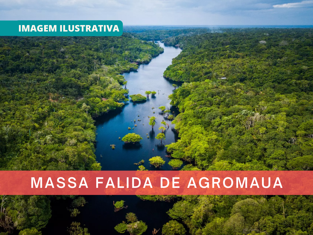 LEILÃO JUDICIAL - 15 MIL HECTARES DE TERRAS EM RIO PRETO DA EVA - AMAZONAS