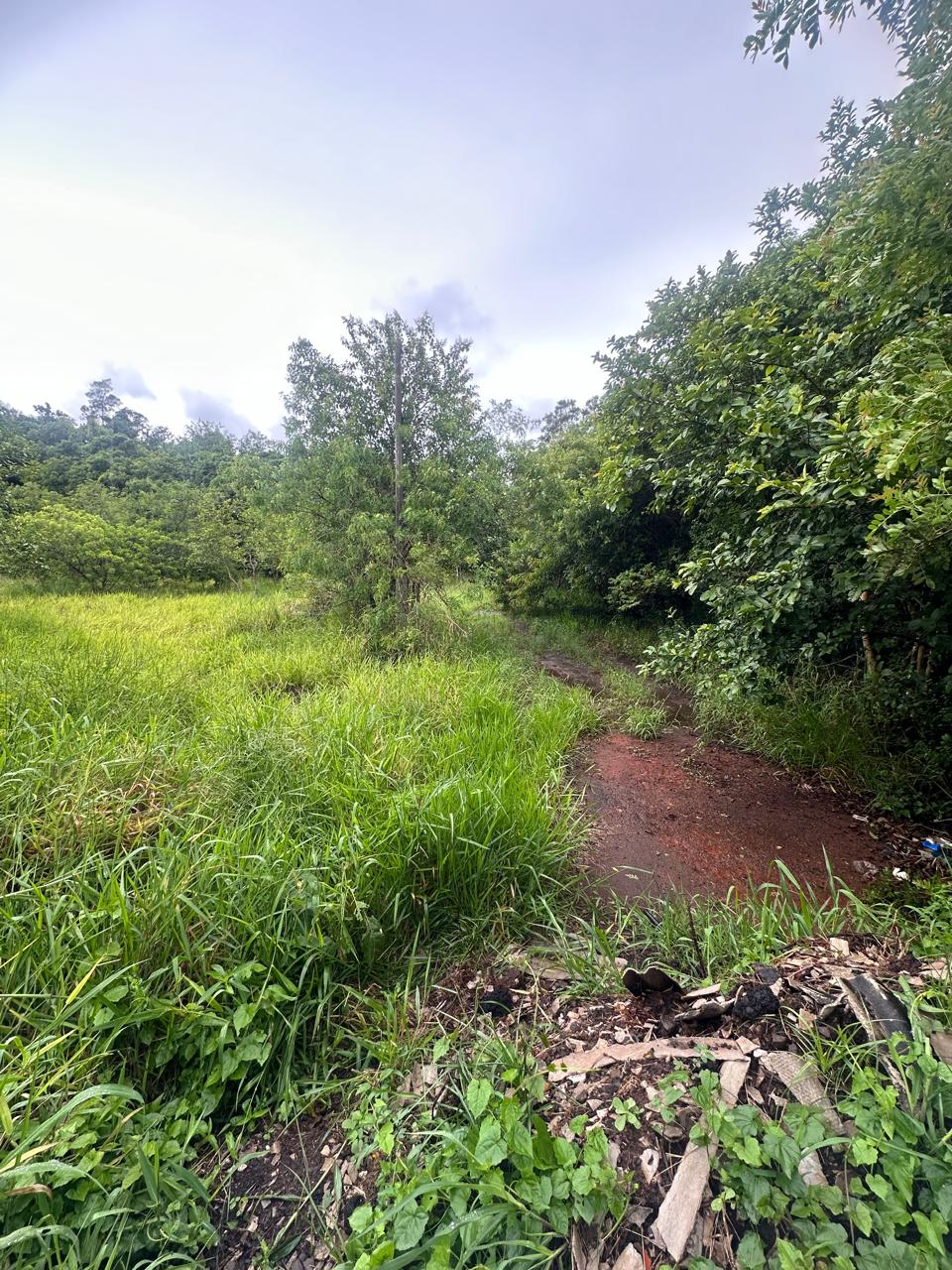 (portão/rs) Um Terreno De 1.050,00m², Na Rs 240, Em Portão/rs, localizado em Portão - RS
