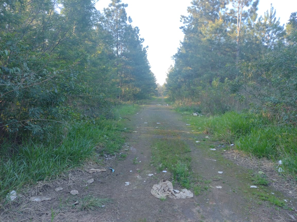 Foto 3