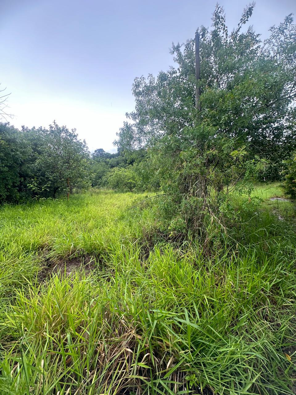 (portão/rs) Um Terreno De 1.050,00m², Na Rs 240, Em Portão/rs, localizado em Portão - RS