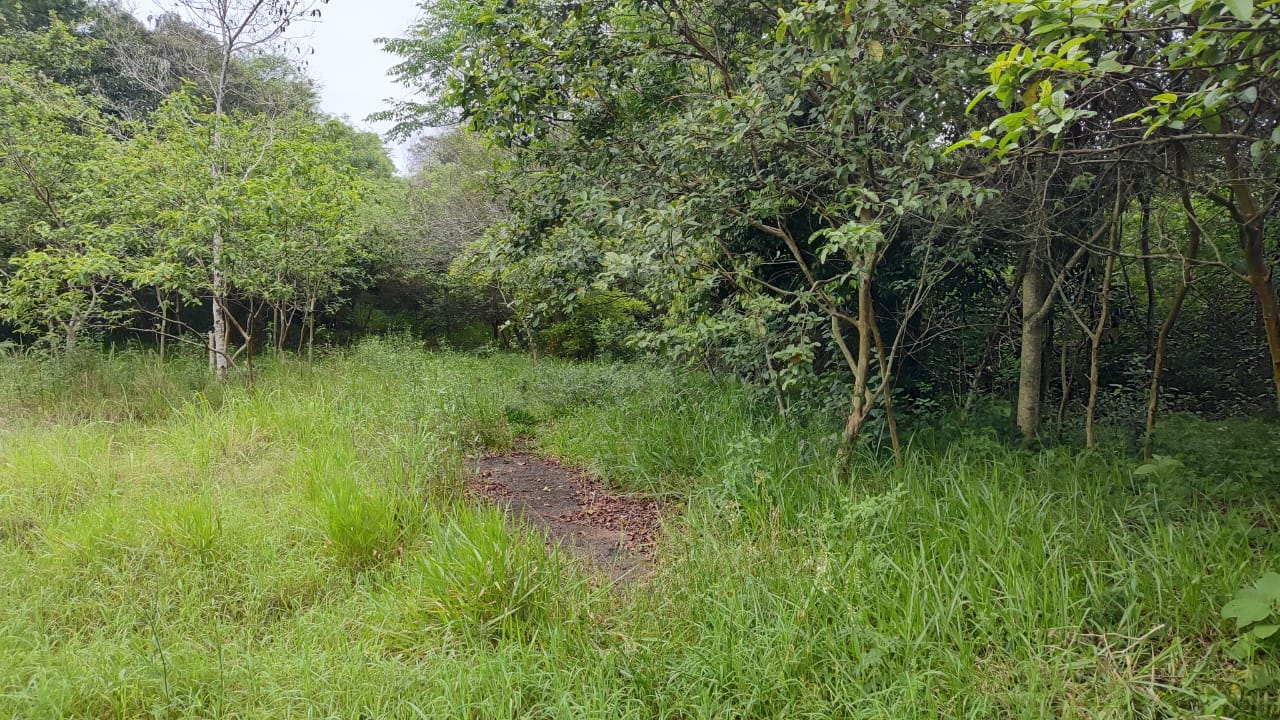 (portão/rs) Um Terreno De 1.050,00m², Na Rs 240, Em Portão/rs, localizado em Portão - RS