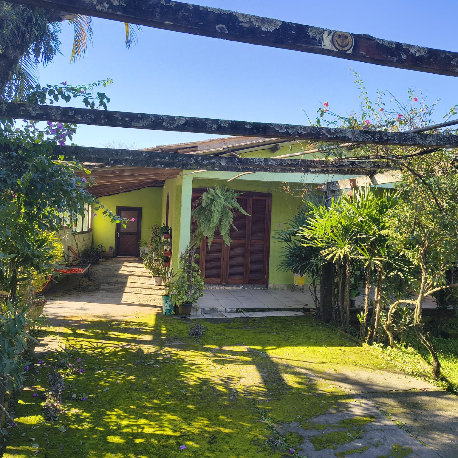 Foto 1