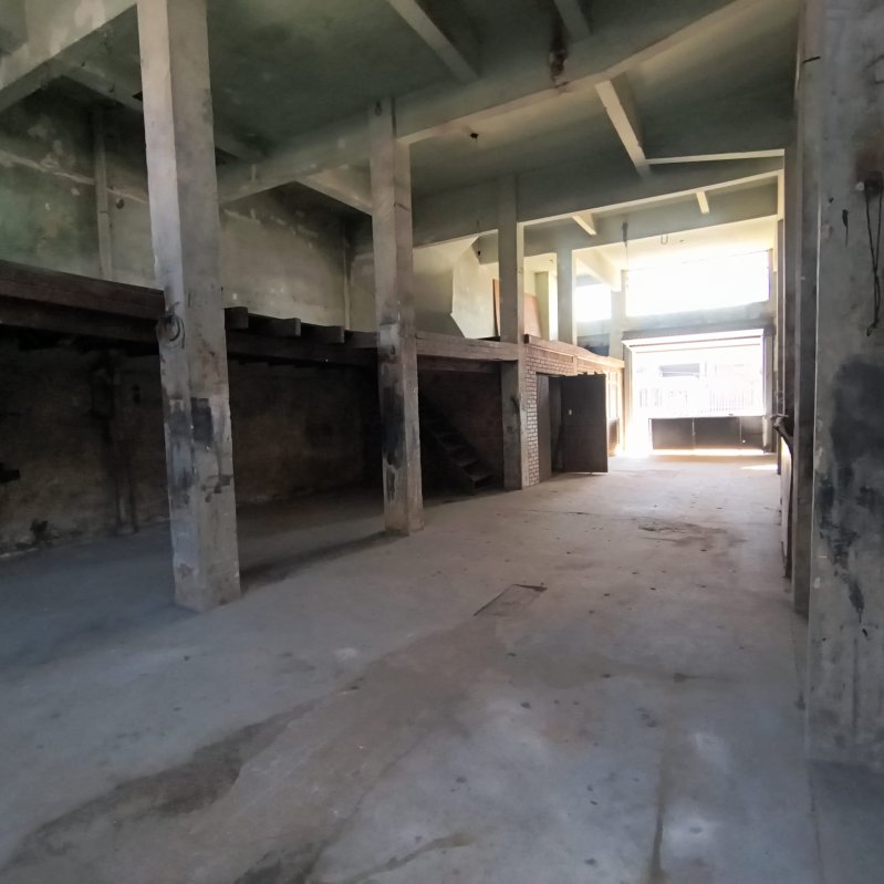 Foto 9