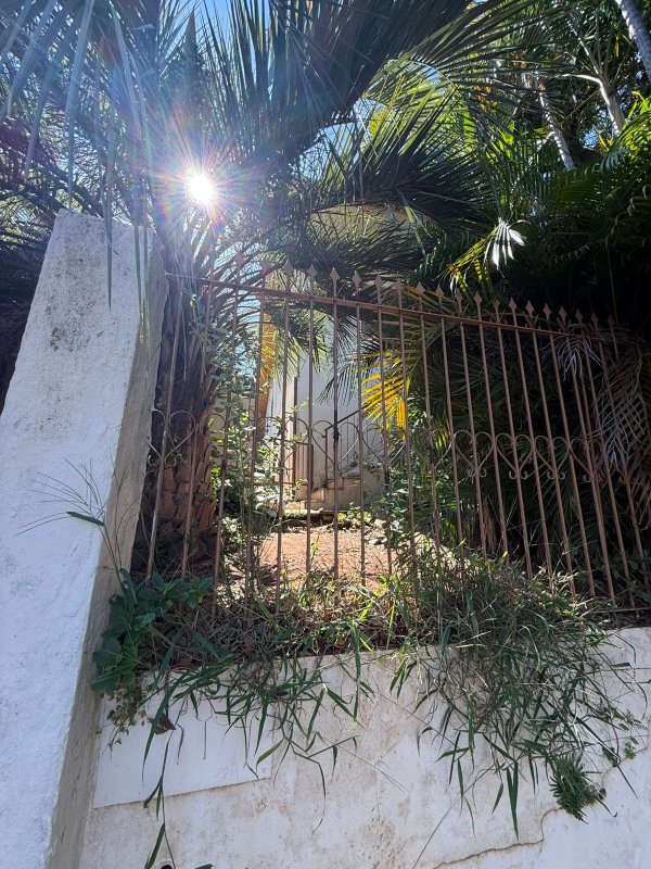 Foto 11