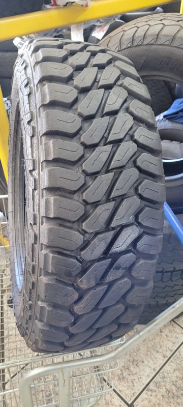 Foto 5