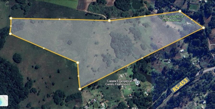 Imagem do imóvel (caxias Do Sul/rs) Uma Área De Terras C/ 27,62 Hectares, Próxima Às Margens Da Rodovia Rs453