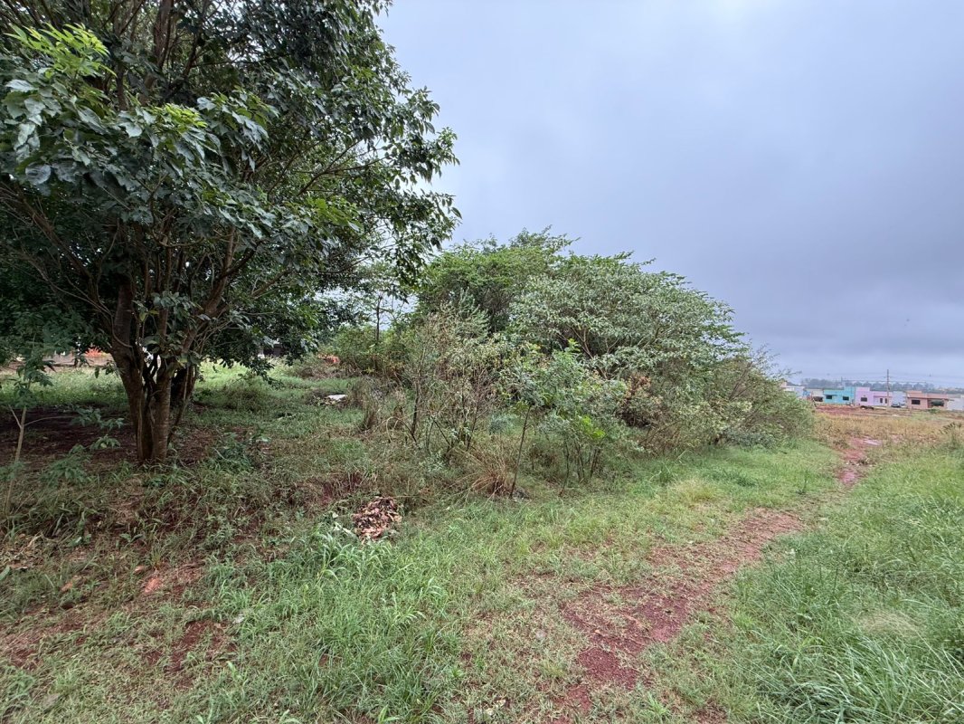 Imagem do imóvel (são Borja/rs) Terreno C/ Área De 3.569,05m², No Bairro Bettin