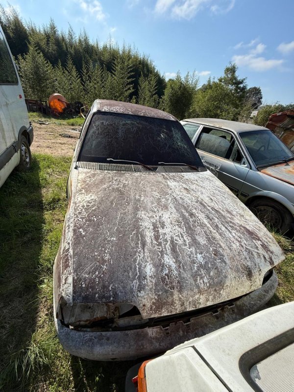 Foto 5