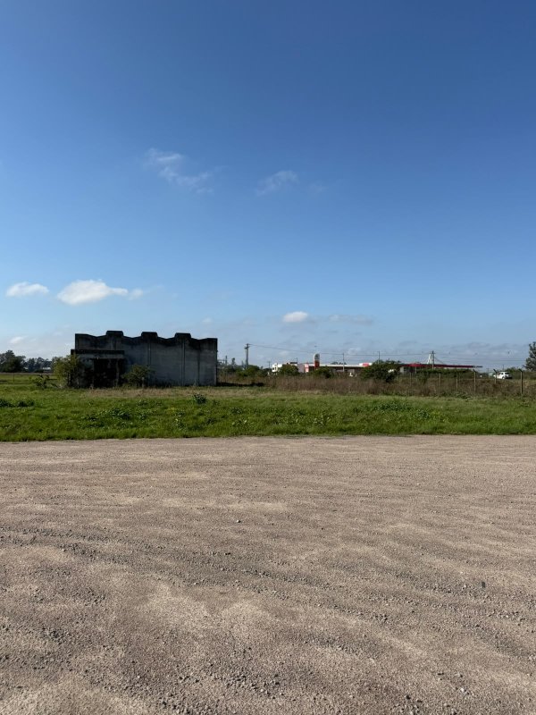 Foto de (CAPÃO DO LEÃO/RS) ÁREA DE TERRAS DE 9.000,00M², C/ BENFEITORIAS, NA BR-293