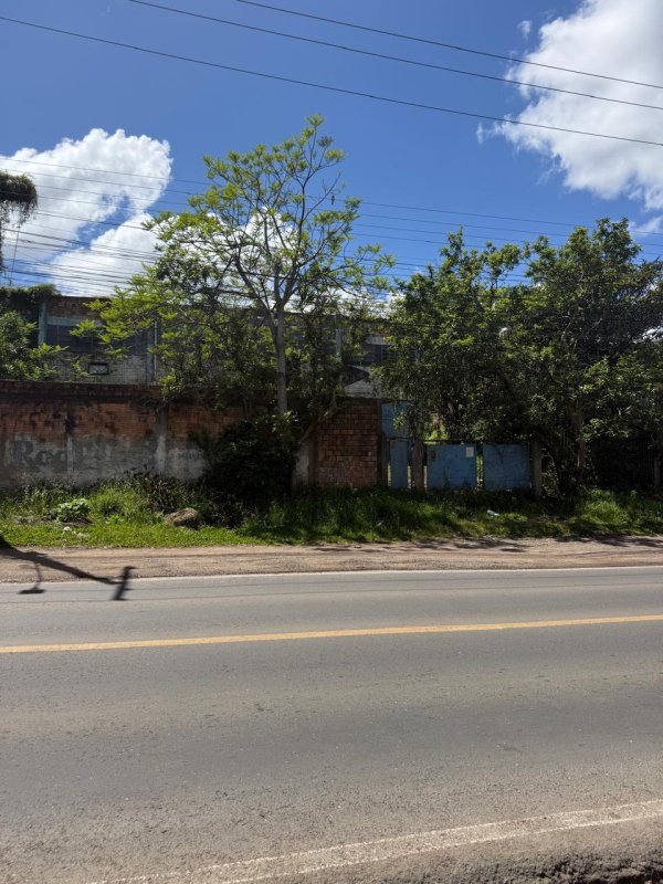 Imagem 4